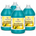 Medorra Snapback Restorer Professional Surface Cleaner, Commercial Floor & Hard Surface Cleaning Solution, 1 Gallon Bottle, 4/Case