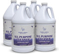 Lavender all-purpose cleaner & deodorizer — 1 gallon · Case of 4